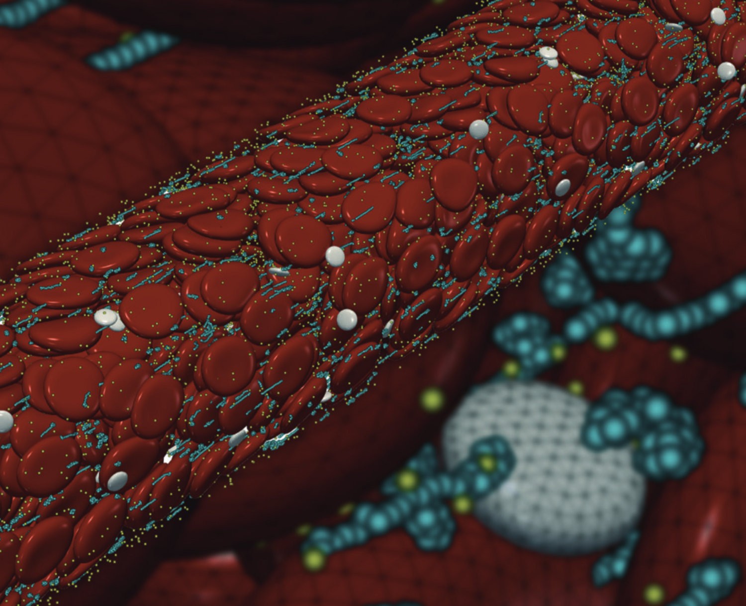 Supercomputing result depicting blood flow