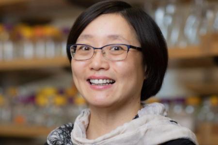 Dr. Yan-Yan Hu Headshot