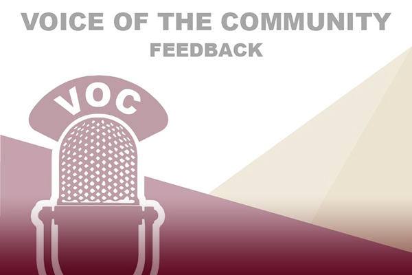 Voices full report