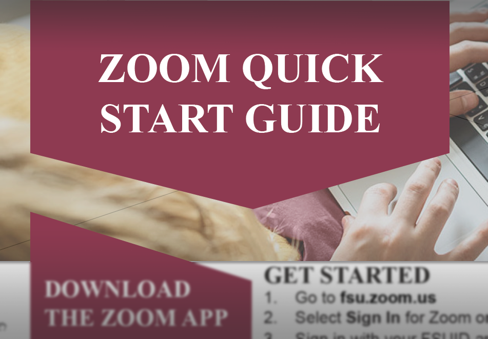 Zoom Quick start guide