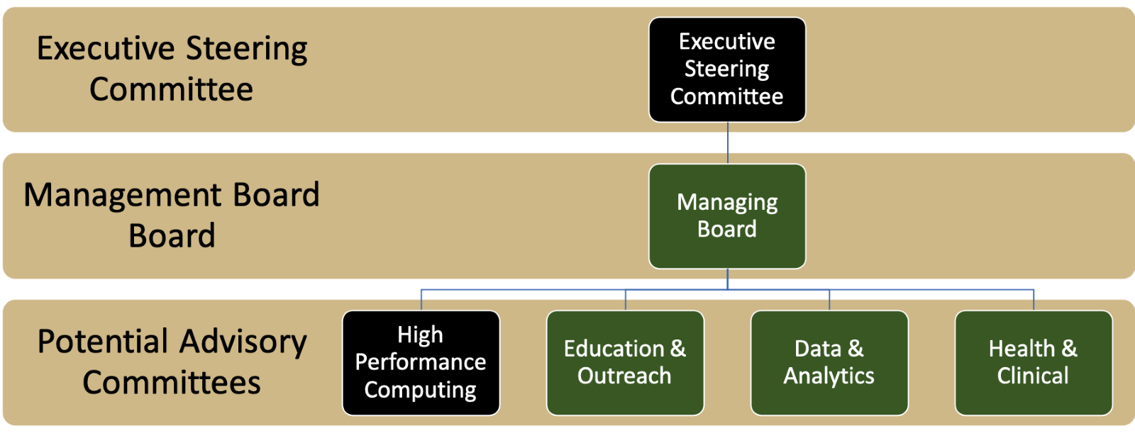 RCC Governance Diagram