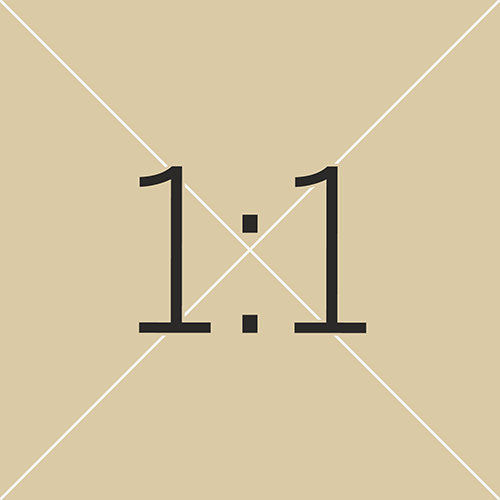 1x1