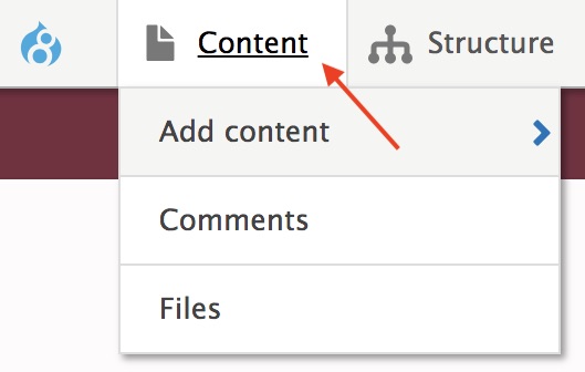 content01.jpg