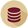 image of Gartner database icon